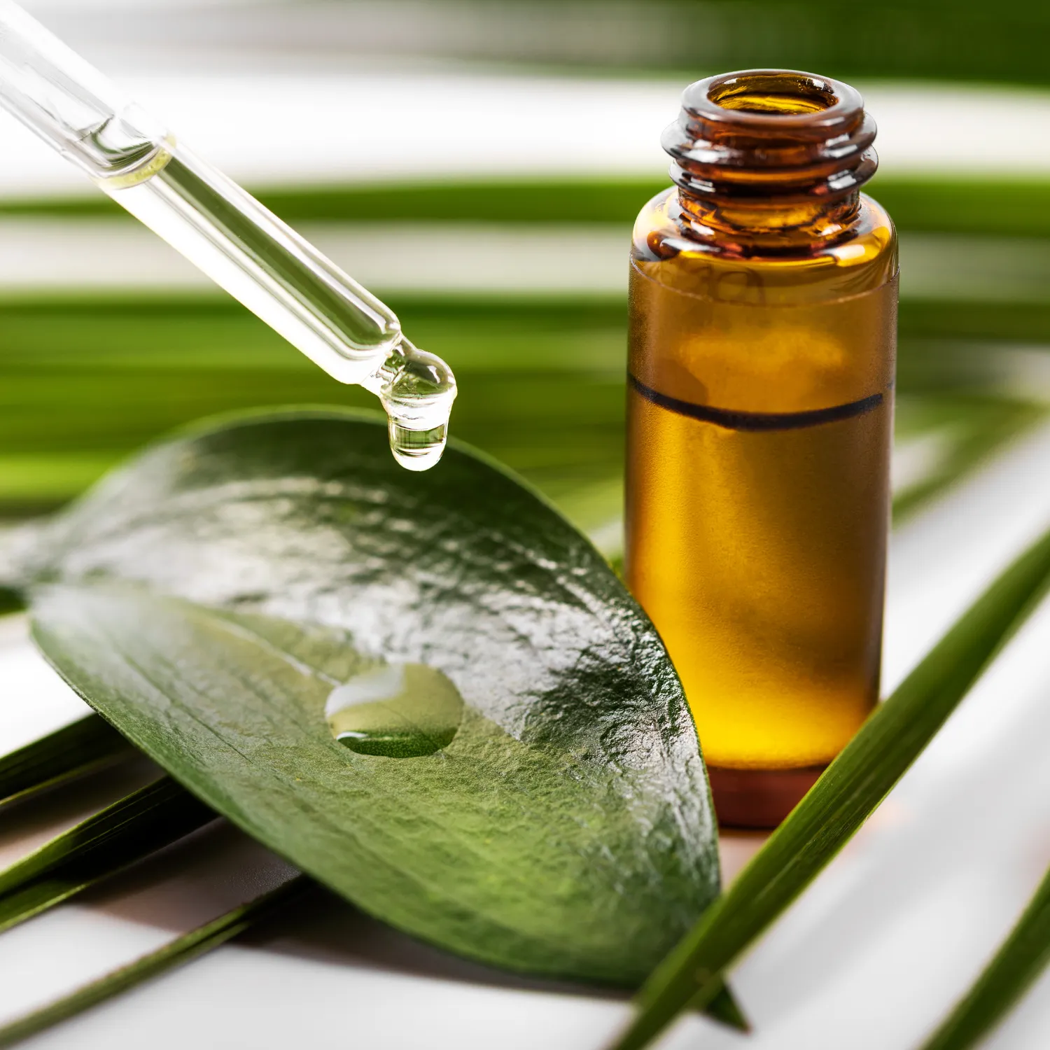wellness clinic