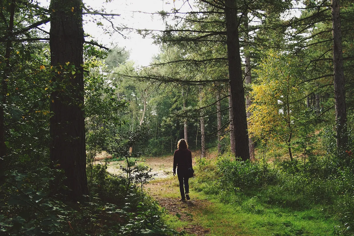 top 5 holistic treatments for stress relief you should try